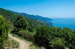 Hochgelegener Wanderweg von Monterosso nach Vernazza, Cinque Terre, Italien
