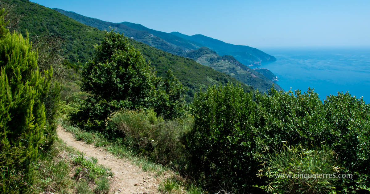 Les Sentiers De Randonnee Des Cinque Terre Les Sentiers De Randonnee Des Cinque Terre