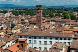 La tour Guinigi, Lucques (Lucca), Italie