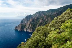 Trail from Portofino to San Fruttuoso, Portofino, Italy