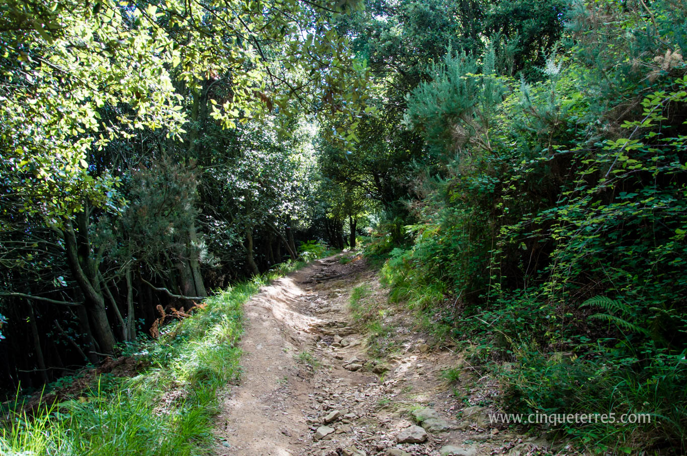 Les Sentiers De Randonnee Des Cinque Terre Les Sentiers De Randonnee Des Cinque Terre