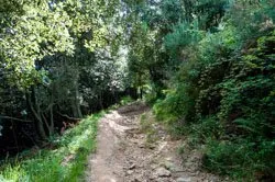 Sentiero da Corniglia a San Bernardino, Cinque Terre, Italia