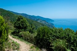 Le sentier haut de Monterosso à Vernazza, Cinque Terre, Italie