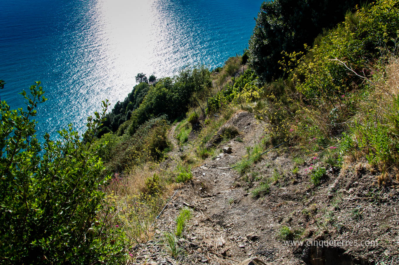 Les Sentiers De Randonnee Des Cinque Terre Les Sentiers De Randonnee Des Cinque Terre